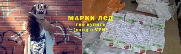 гидра Карпинск