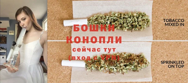 гидра Карпинск