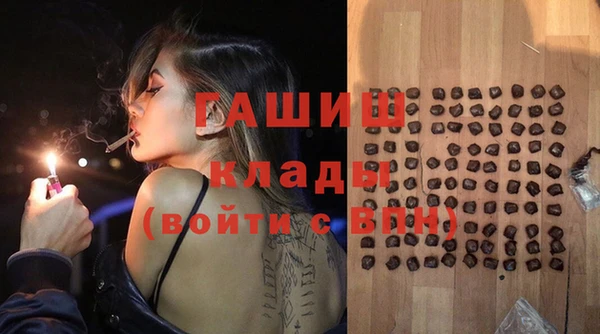 гидра Карпинск