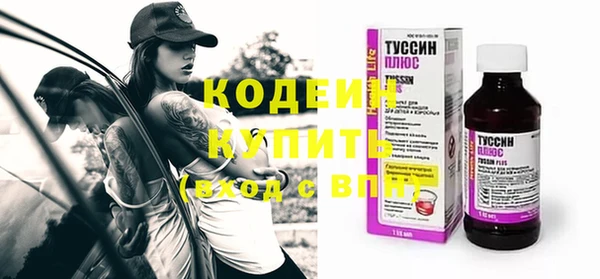 гидра Карпинск