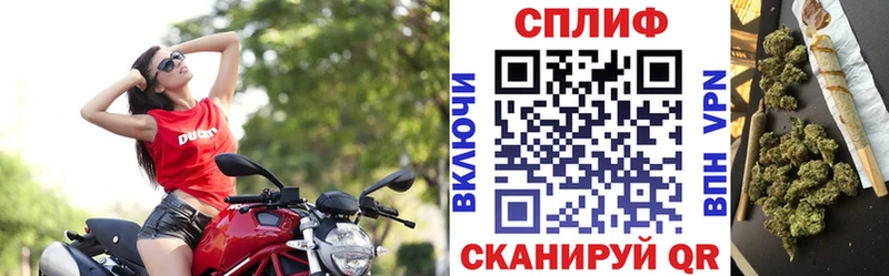 Конопля сатива  Купить где  Емва 